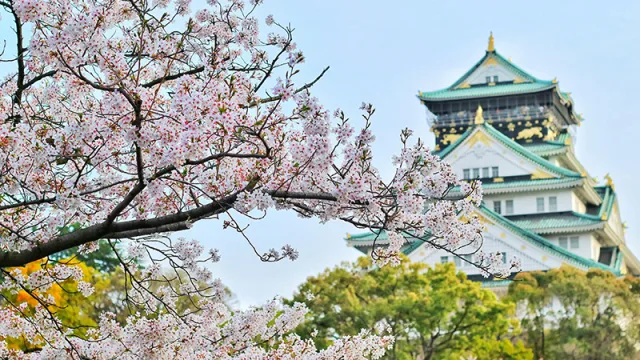 Curso de Japonês